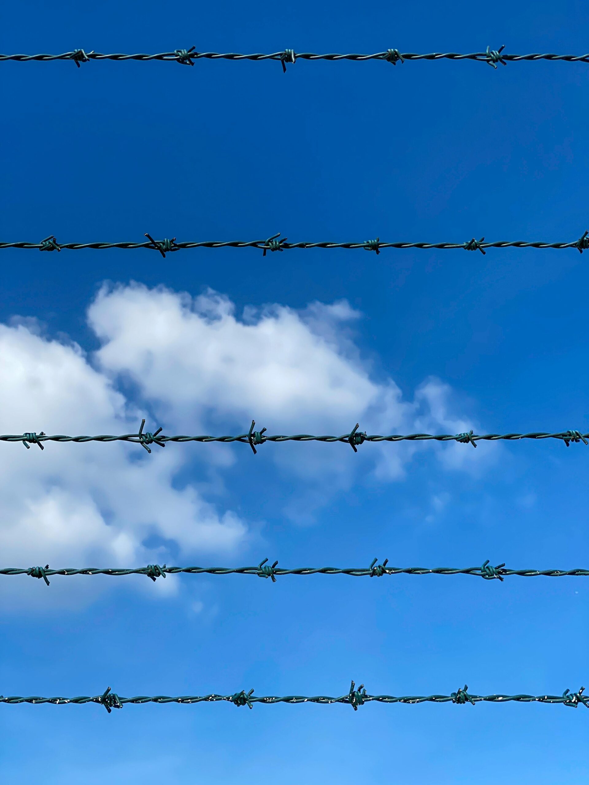 Security and Defense